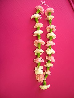 White and Light pink Carnations Garland