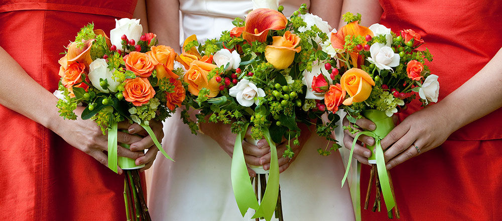 Wedding/Jaimala
